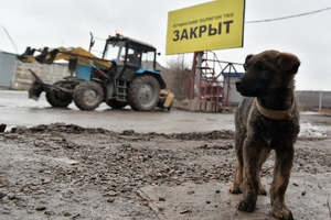 полигон Кучино